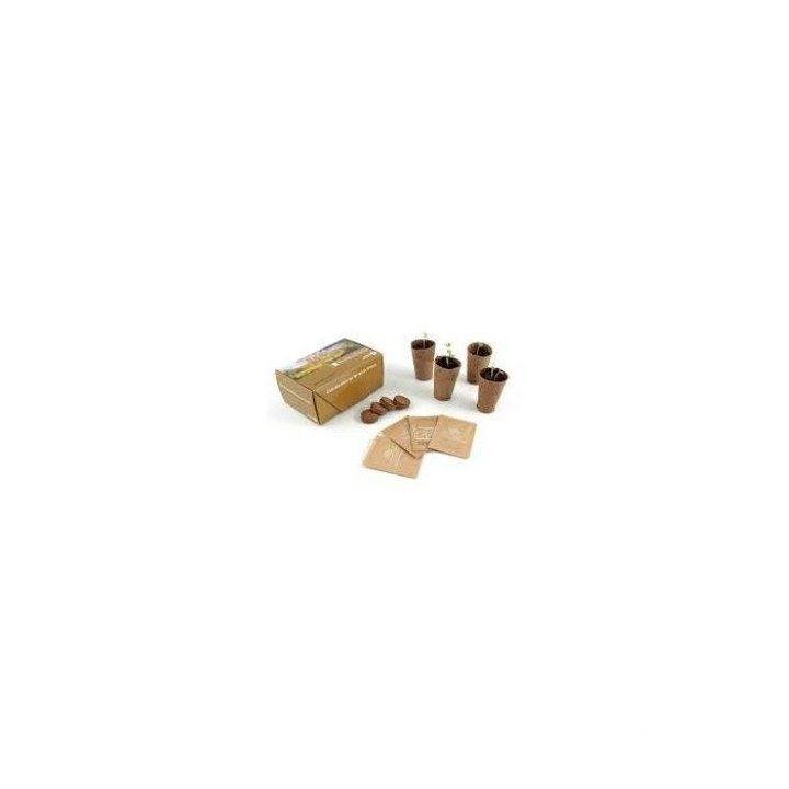 Coffret carton 4 pots biodégradables avec graines cadeau-nouvel-an-maroc