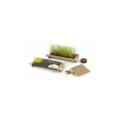 Mini jardinière en Bambou